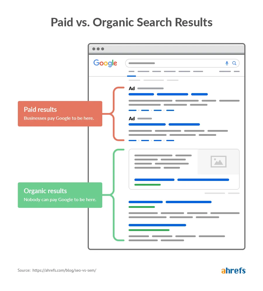 Paid vs organic search results comparison infographic for Georgetown Massachusetts business visibility